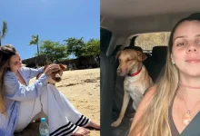 Photo of VÍDEO: Casal carioca se apaixona por cão caramelo durante lua de mel em Arraial d’Ajuda