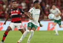 Photo of Probabilidade de Palmeiras ser campeão vai a 34,7%, e a do Flamengo cai para 63,8%