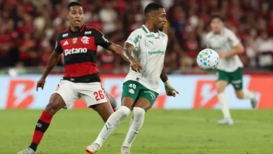 Photo of Probabilidade de Palmeiras ser campeão vai a 34,7%, e a do Flamengo cai para 63,8%